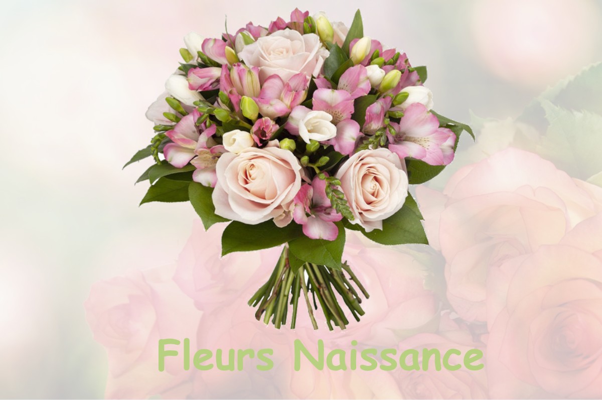 fleurs naissance MONTASTRUC-DE-SALIES