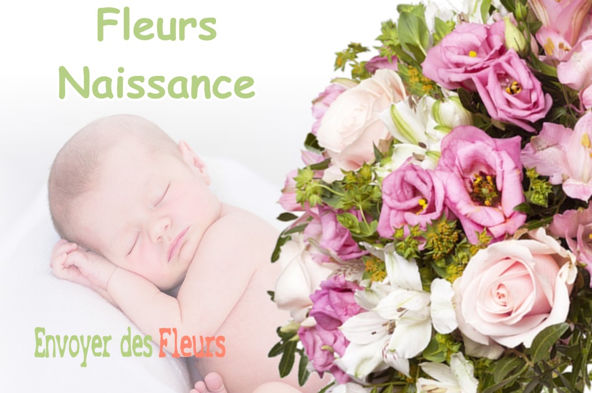 lIVRAISON FLEURS NAISSANCE à MONTASTRUC-DE-SALIES