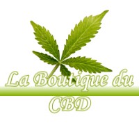 LA BOUTIQUE DU CBD MONTASTRUC-DE-SALIES 